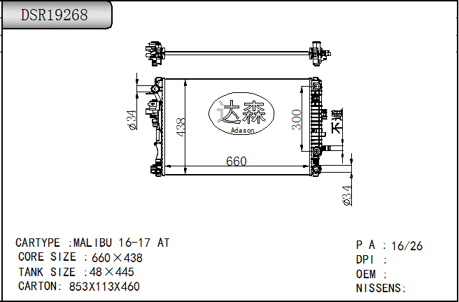 DSR19268