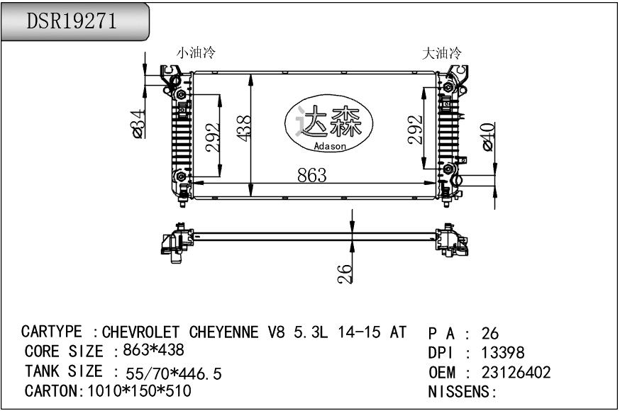 DSR19271