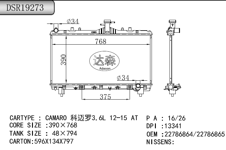 DSR19273