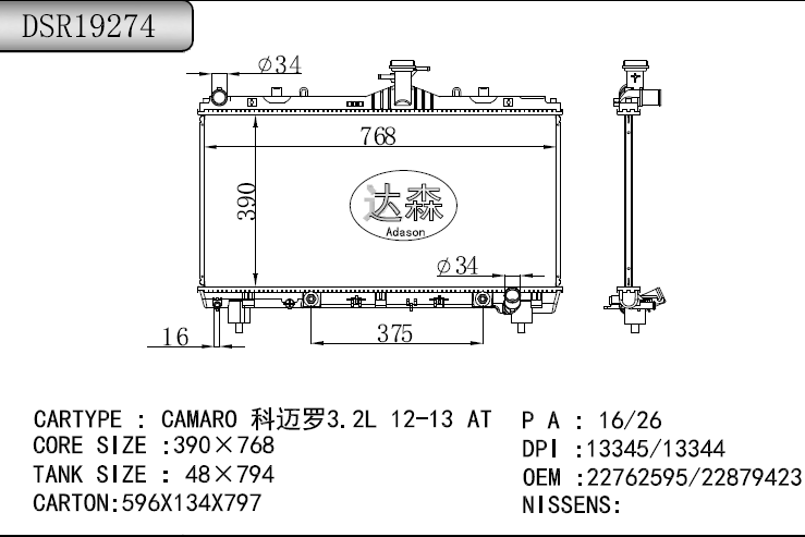 DSR19274