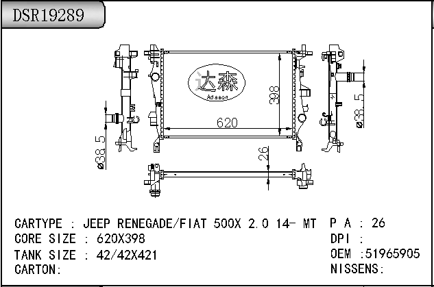 DSR19289