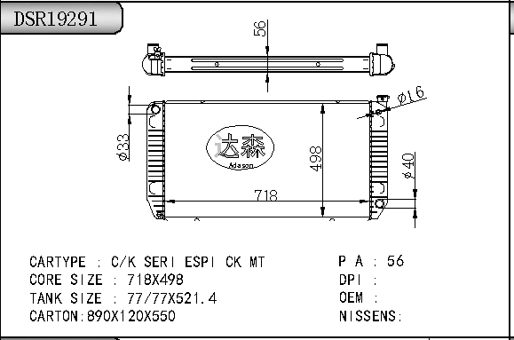 DSR19291