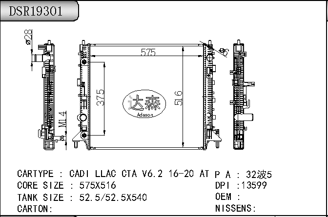 DSR19301