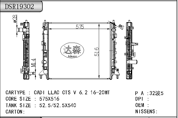 DSR19302