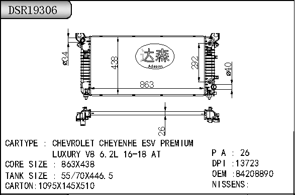 DSR19306