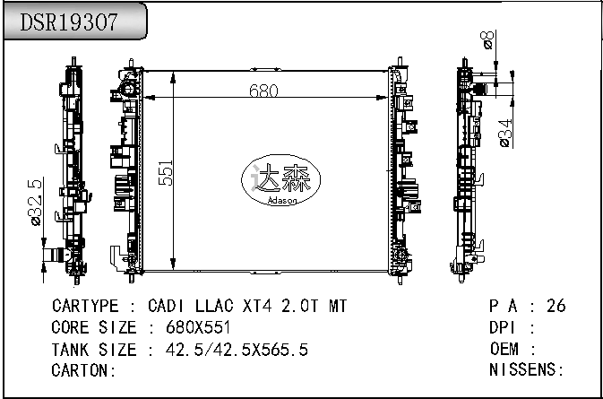 DSR19307