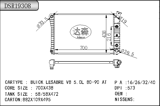 DSR19308