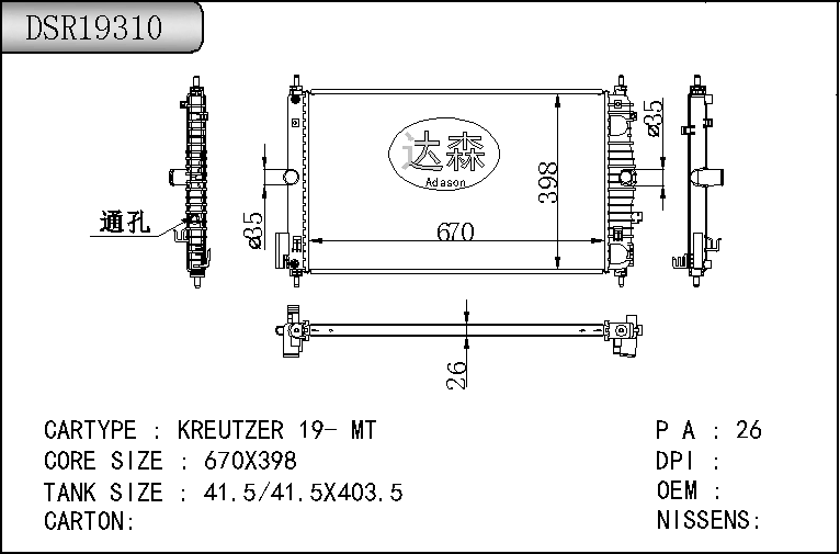 DSR19310