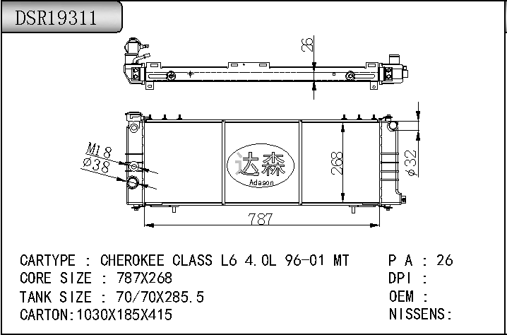 DSR19311