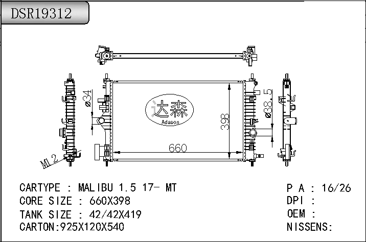 DSR19312