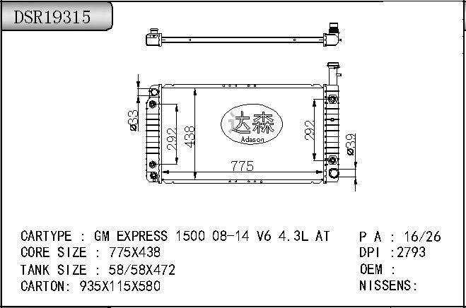DSR19315