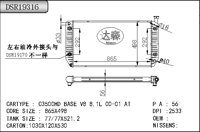 DSR19316