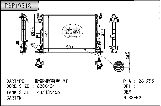 DSR19318