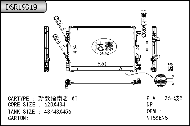 DSR19319