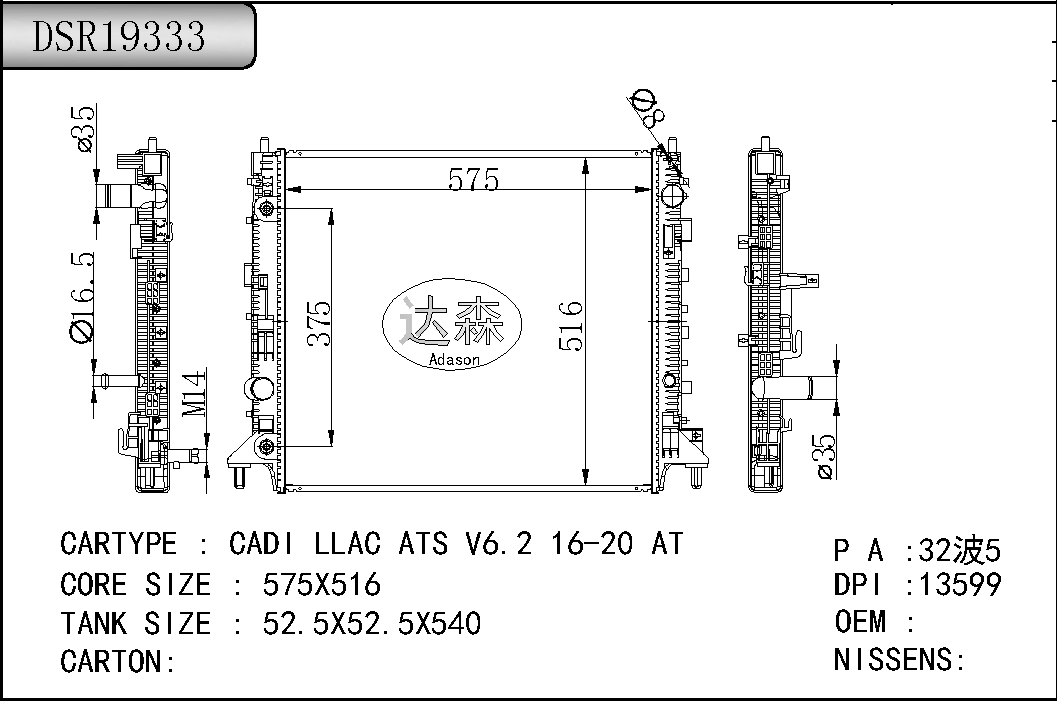 DSR19333