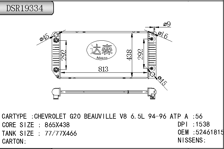DSR19334