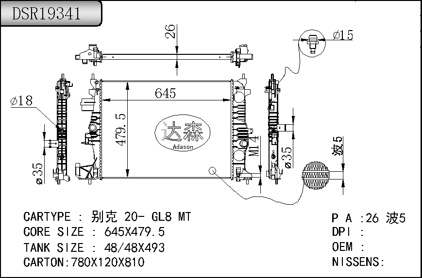 DSR19341