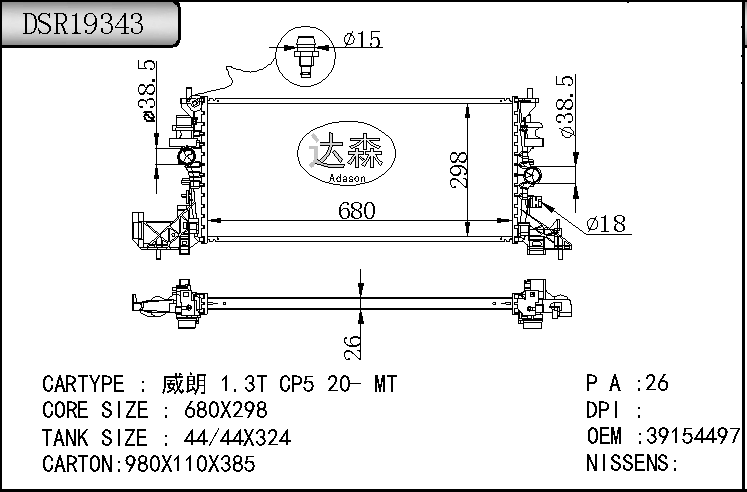 DSR19343