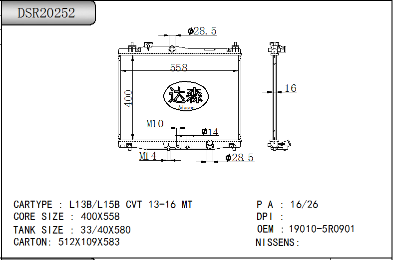 DSR20252