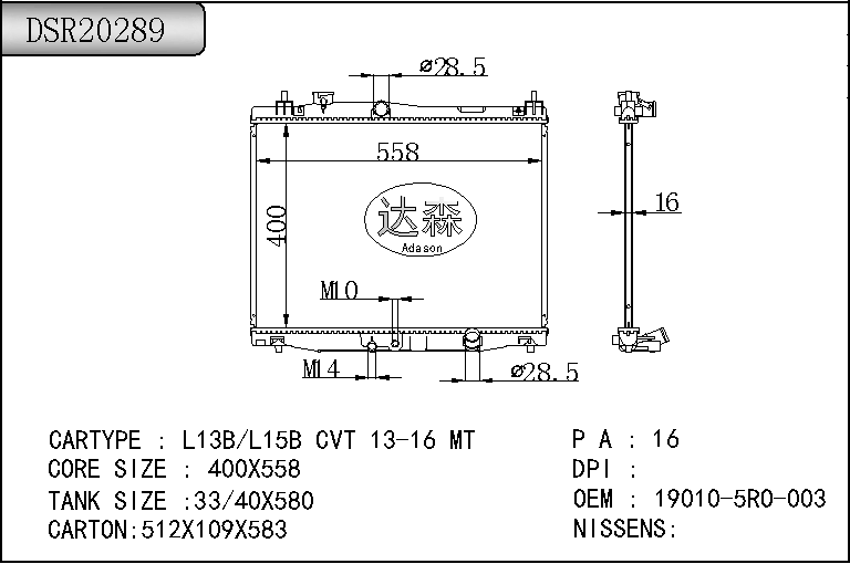 DSR20289