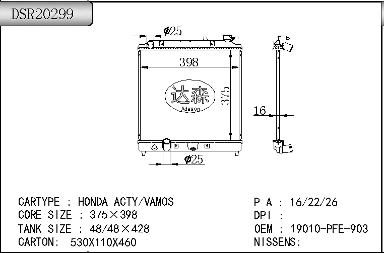 DSR20299