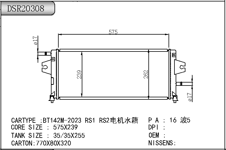 DSR20308