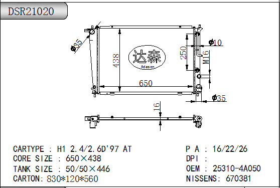 DSR21020