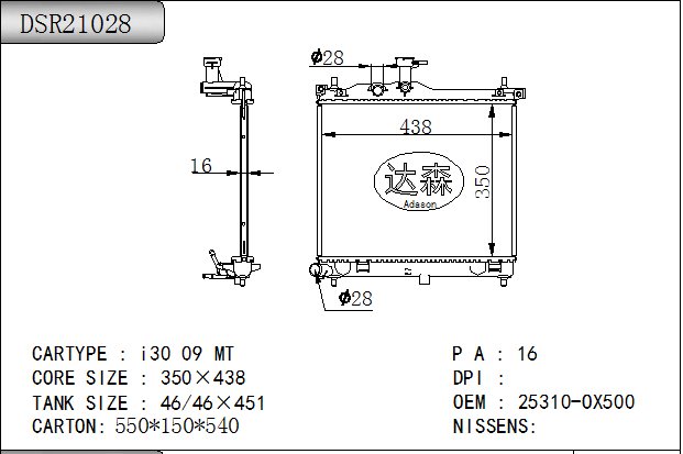 DSR21028