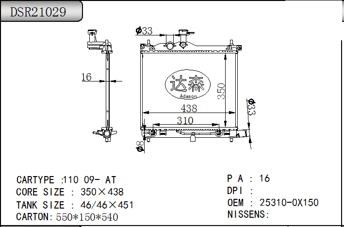 DSR21029
