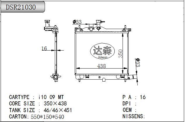 DSR21030