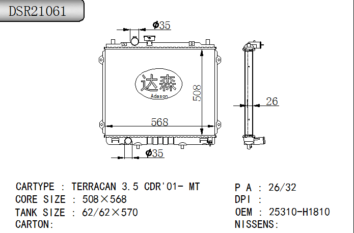 DSR21061
