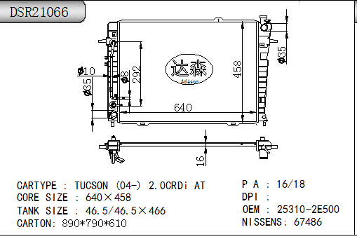 DSR21066