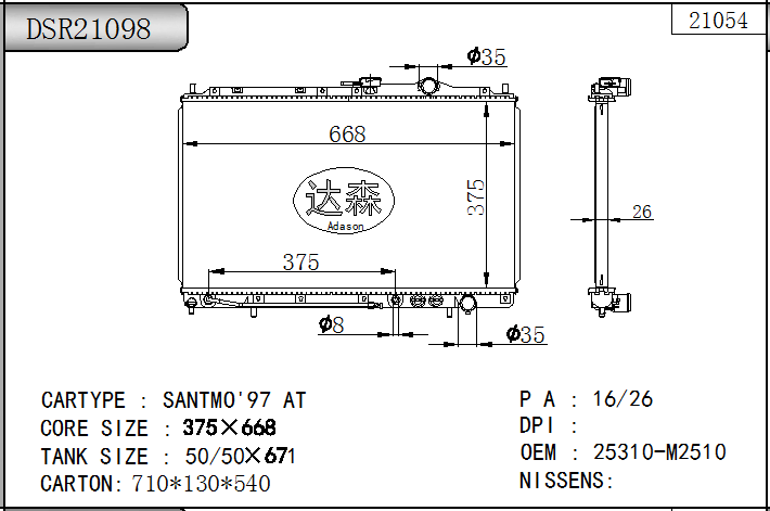 DSR21098