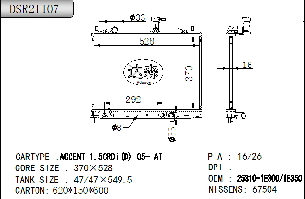 DSR21107