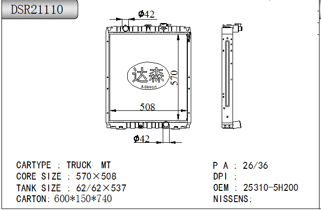 DSR21110