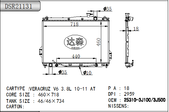DSR21131