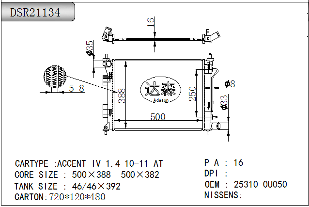 DSR21134
