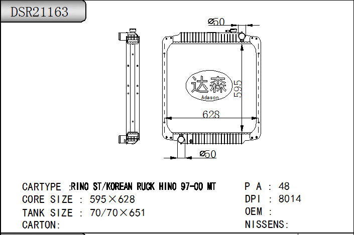 DSR21163