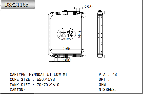 DSR21165