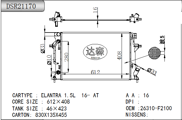 DSR21170