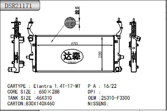 DSR21171