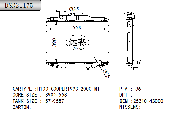DSR21175