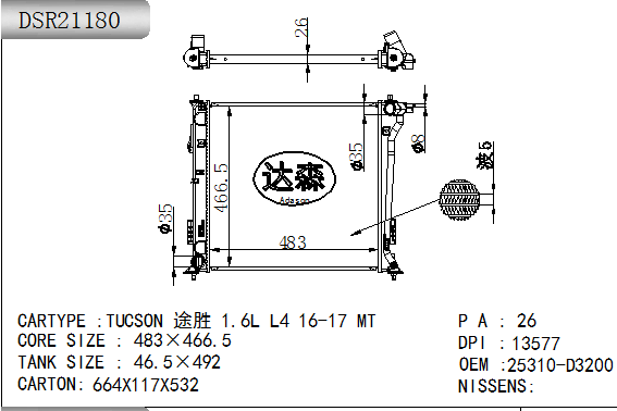 DSR21180