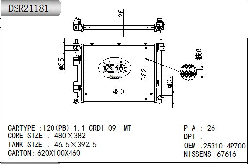 DSR21181