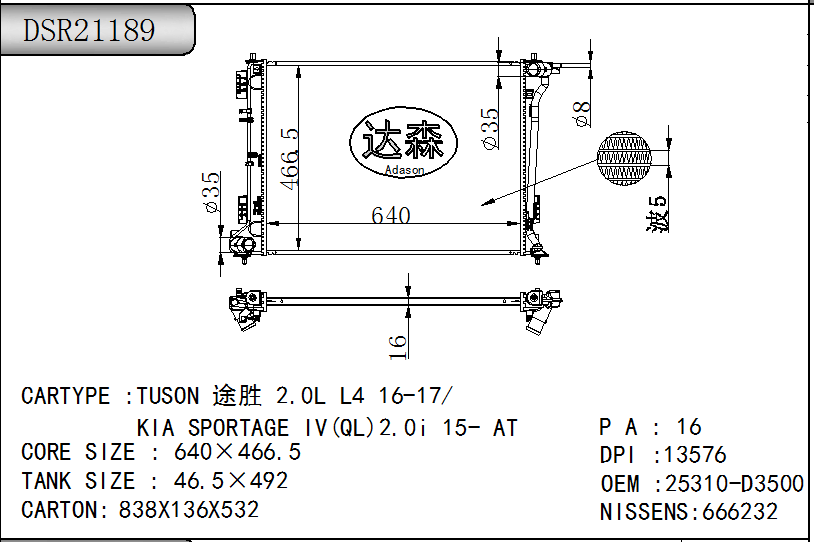 DSR21189