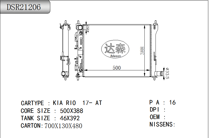 DSR21206