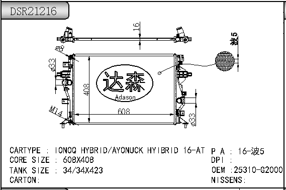 DSR21216