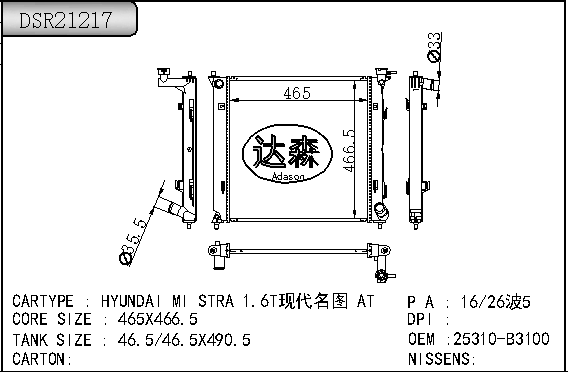DSR21217