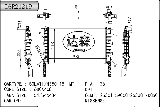 DSR21219