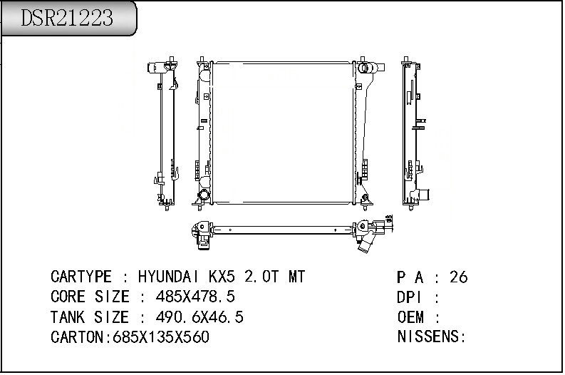 DSR21223